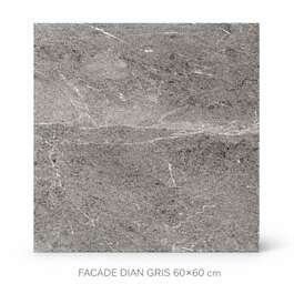ПЛИТКА МАТОВАЯ ДЛЯ СТЕН, ПОЛА, ФАСАДА DIAN GRIS 60X60СМ AM-2401