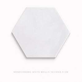 SEINAPLAAT 16X18X0,9 MONOCHROME WHITE BRILLO