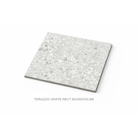 KERAAMILEN LATTA 60X60X0,88 TERAZZO WHITE RECT