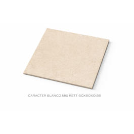 KERAAMILEN LATTA 60X60X0,85 CARACTER BLANCO MIX RETT
