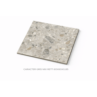 KERAAMILEN LATTA 60X60X0,85 CARACTER GRIS MIX RETT