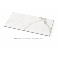 CERAMIC GRANITE 60X120X0,9MM STATURIO XS MAT RECT