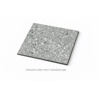 KERAAMILEN LATTA 60X60X0,88 TERAZZO GREY RECT