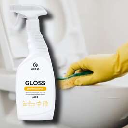 Cleaning agent for sanitary units Gloss Professional 600 ml Grass