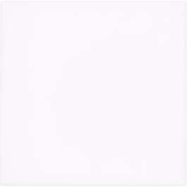 SEINAPLAAT 20x20 WHITE GLOSSY