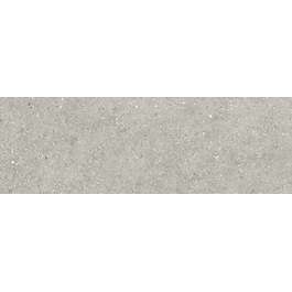 SEINAPLAAT 25X75 GRANITE GREY
