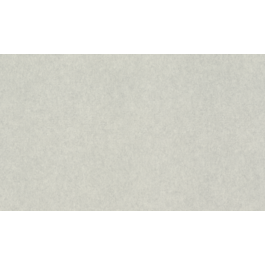 TAPEET 957310 RASCH 1.06X10M 21/2
