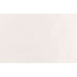 SEINAPLAAT 26.7X41.6 LIVIN CLOUD WHITE