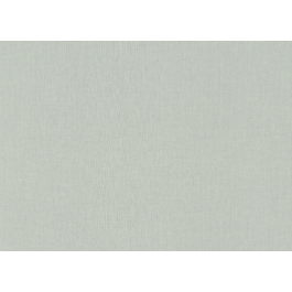 TAPEET 960792 RASCH 1.06X10M 20/5