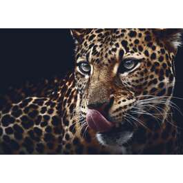 PICTURE JAD 98X68CM LEOPARD PICTURE JAD 98X68CM LEOPARD