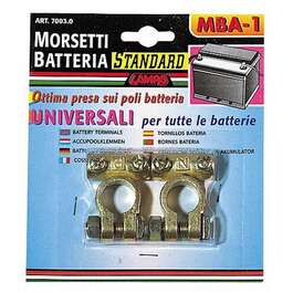 STANDARD OF CAR BATTERY TERMINALS