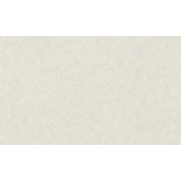 TAPEET 947656 RASCH 1.06X10M 21/06
