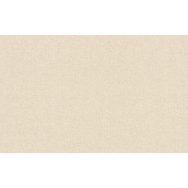 TAPEET 961911 RASCH 1.06X10M 20/8