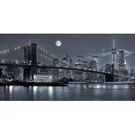 PILT GRAP 100X50CM BROOKLYNI SILD