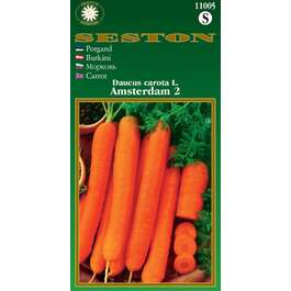 SEEMNED PORGAND AMSTERDAM 2 4gr