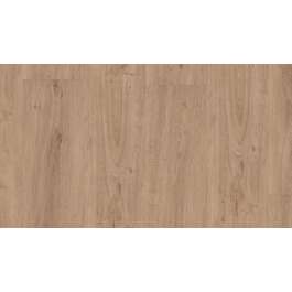 LVT PÕRANDAKATE 55 UL.5MM OAK  HONEY KL23/31