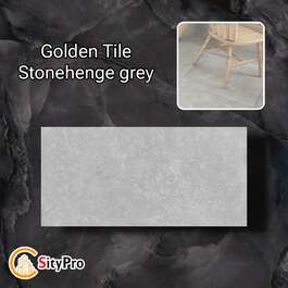 Ceramic floor tile Golden Tile Stonenhege, gray, 300x600