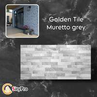 Seinaplaat Golden Tile Muretto,hall, 300x600