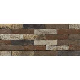 NELISSEN PLAAT DALI 215X20X65 NELISSEN PLAAT DALI 215X20X65