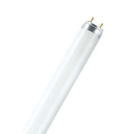 TORULAMP OSRAM 36W/840