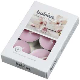 LÕHNA-TEEKÜÜNAL MAGNOOLIA 4H 6TK