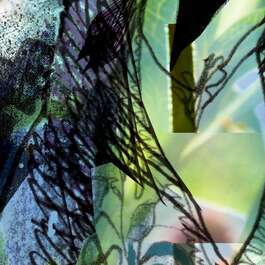 Photo wallpaper 4-915