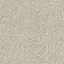TAPEET 606645 RASCH 17