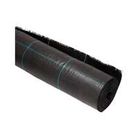PEENRAVAIP ULTIPRO 1X25M