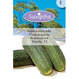 SEEMNED SUVIPIHA ALPACA AVAMAA 10s