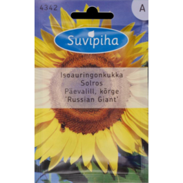SEEMNED SUVIPIHA PÄEVALILL KÕRGE 3gr