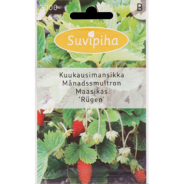 SEEMNED SUVIPIHA KUUMAASIKAS 0,2gr