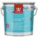 Wall paint