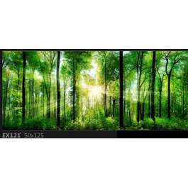 LASIKUVA 50X125CM EX121