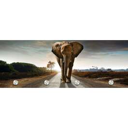 KLAASGARDEROOB 30X80CM ELEVANT