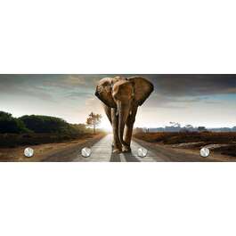 KLAASGARDEROOB 30X80CM ELEVANT
