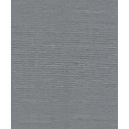 TAPEET 529869 RASCH 19/4