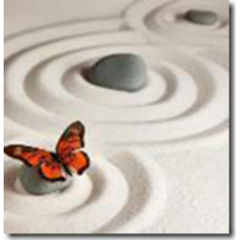 KLAASPILT 30X30CM 8960