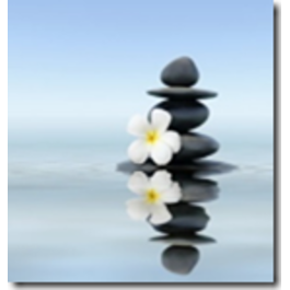 KLAASPILT 50X50CM 9040