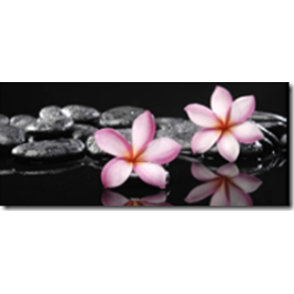 KLAASPILT 50X120CM 9057