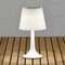 VALGUSTI SOLAR ASSISI 0.5W LED VALGE LAUA VALGUSTI SOLAR ASSISI 0.5W LED VALGE LAUA