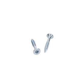 WOOD SCREW TORX30 ZN 6.0X40 10TK/PK