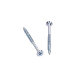 PUIDUKRUVI TORX30 ZN 6.0X80 10TK/PK