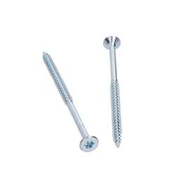 PUIDUKRUVI TORX30 ZN 6.0X100 10TK/PK