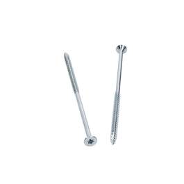 PUIDUKRUVI TORX30 ZN 6.0X140 10TK/PK