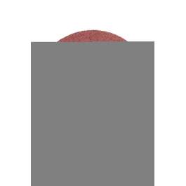 SANDPAPER  125 P36