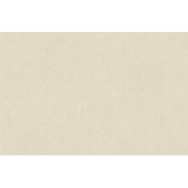 TAPEET 954319 RASCH 1.06X10M 18