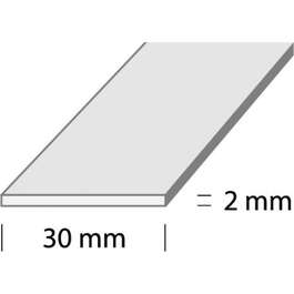 DUURI I2-2.0m 30x2mm HÕBE