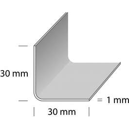 DUURI CORNER  L5 RST1 30x30x1mm ROOSTEVABA 1m