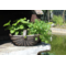 ISTUTUSPOTT BAG PLANTERS ISTUTUSPOTT BAG PLANTERS