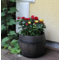 ISTUTUSPOTT BOLERO PLANTERS M